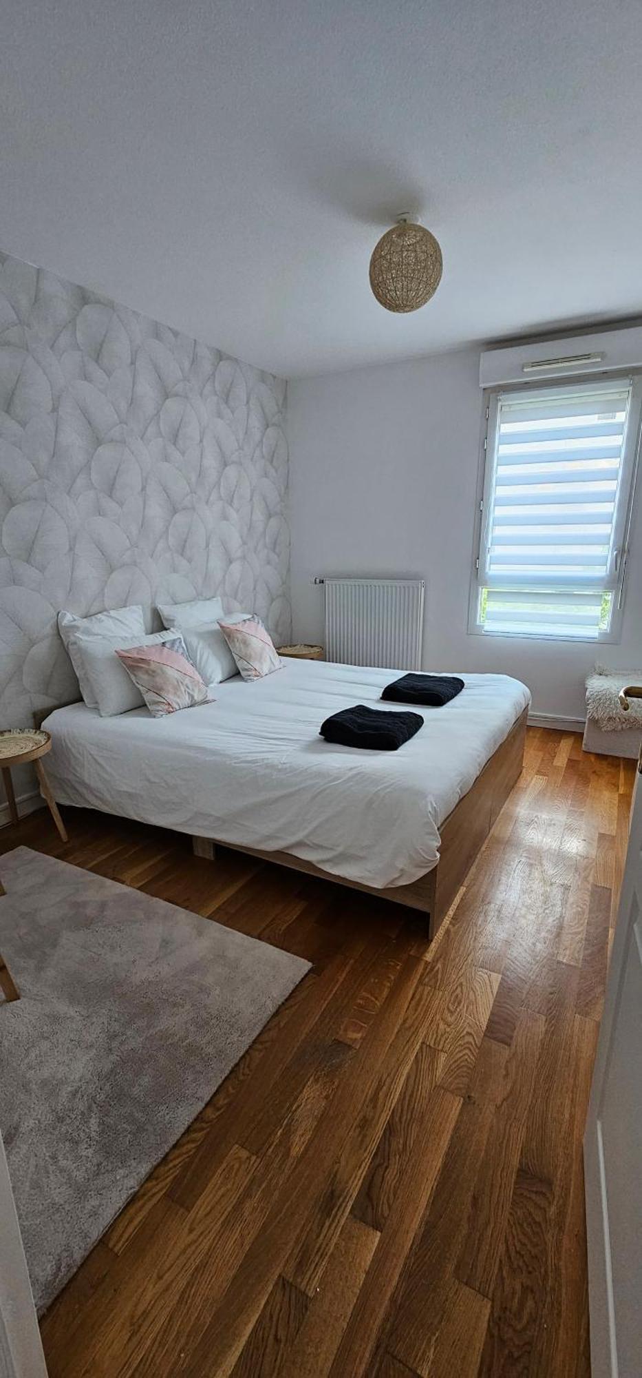 Le Cocon De Soie Superbe T3 A Vaulx En Velin Apartment ภายนอก รูปภาพ
