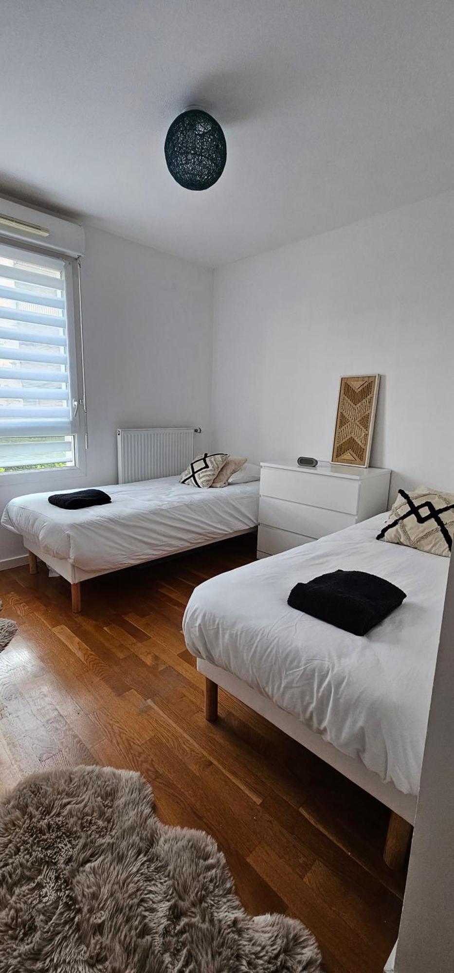 Le Cocon De Soie Superbe T3 A Vaulx En Velin Apartment ภายนอก รูปภาพ